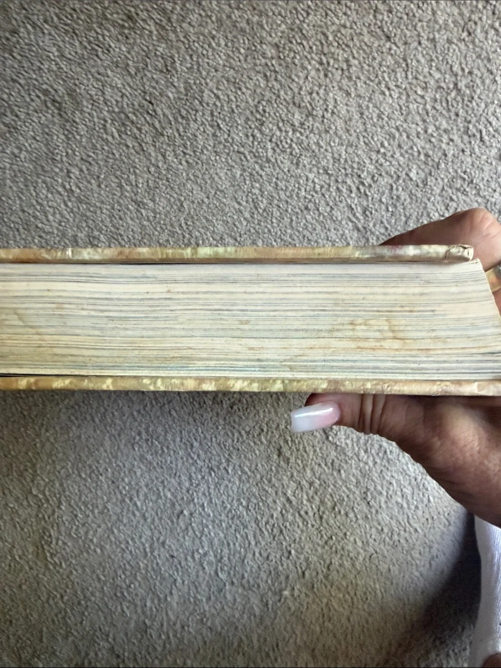 “The Children's Bible” The Old Testament, The New Testament!